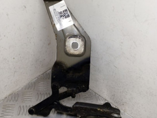 петля капота левая BMW X5 E70 [рестайлинг] E70 2012, 4.0 л., дизель, АКПП, black sapphire metallic (475), внедорожник 5 дв., полный привод, правый руль, 7208627