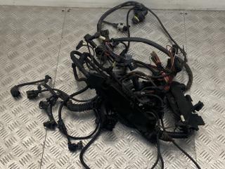 проводка двигателя BMW X5 E70 2010, 3.0 л., M57 D30 (306D5), дизель, АКПП, внедорожник 5 дв.