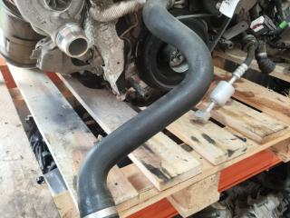 патрубок радиатора BMW 3 серия G20 2021, 2.0 л., B48 B20 A, бензин, АКПП, black sapphire, седан, задний привод, правый руль, 8654823, 17128654823