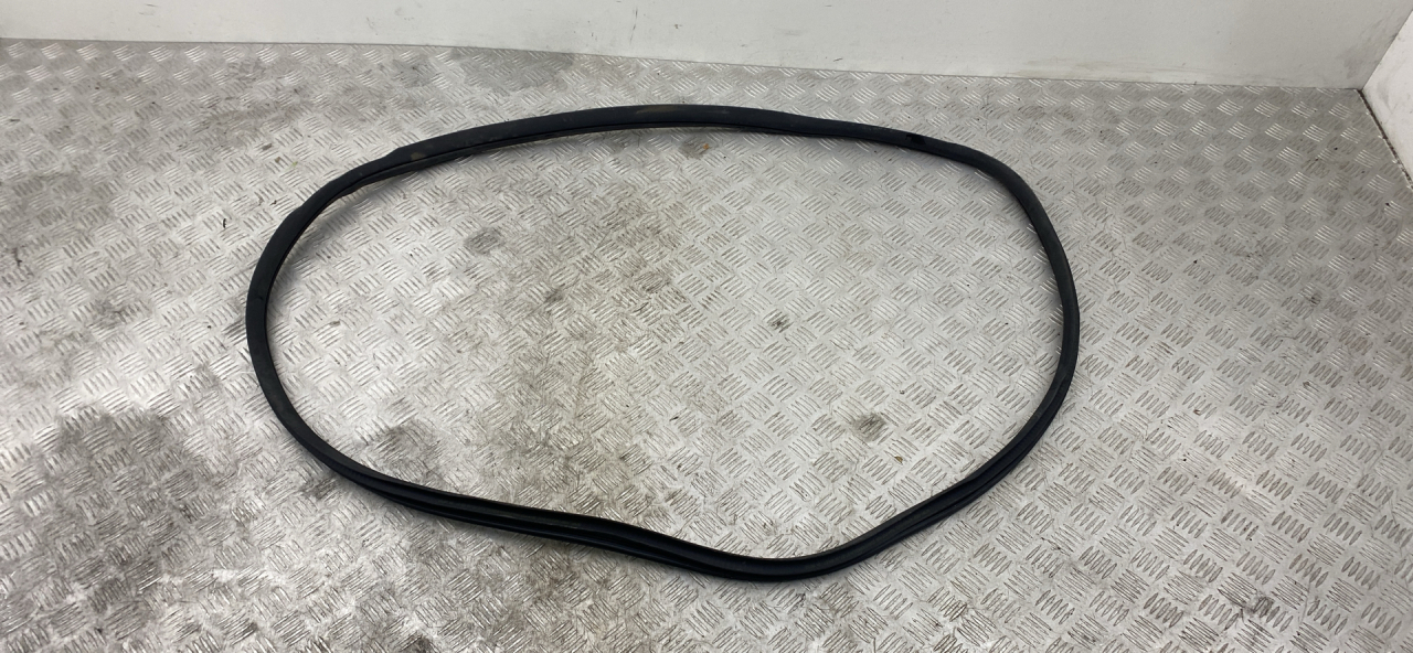 уплотнитель двери Mercedes-Benz C AMG W205 2017, 4.0 л., M 177.980, бензин, АКПП, 197, седан, задний привод, правый руль, A2056970151 - фото №1