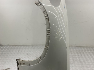 крыло переднее левое BMW X5 E70 [рестайлинг] E70 2012, 3.0 л., N57 D30 A, дизель, АКПП, alpinweiß iii ( 300), внедорожник 5 дв., полный привод, правый руль