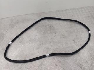 уплотнитель двери BMW 5 серия F07/F10/F11 F10 2011, 3.0 л., N57 D30 A, дизель, АКПП, carbonschwarz metallic (416), седан, задний привод, правый руль, 51727182288