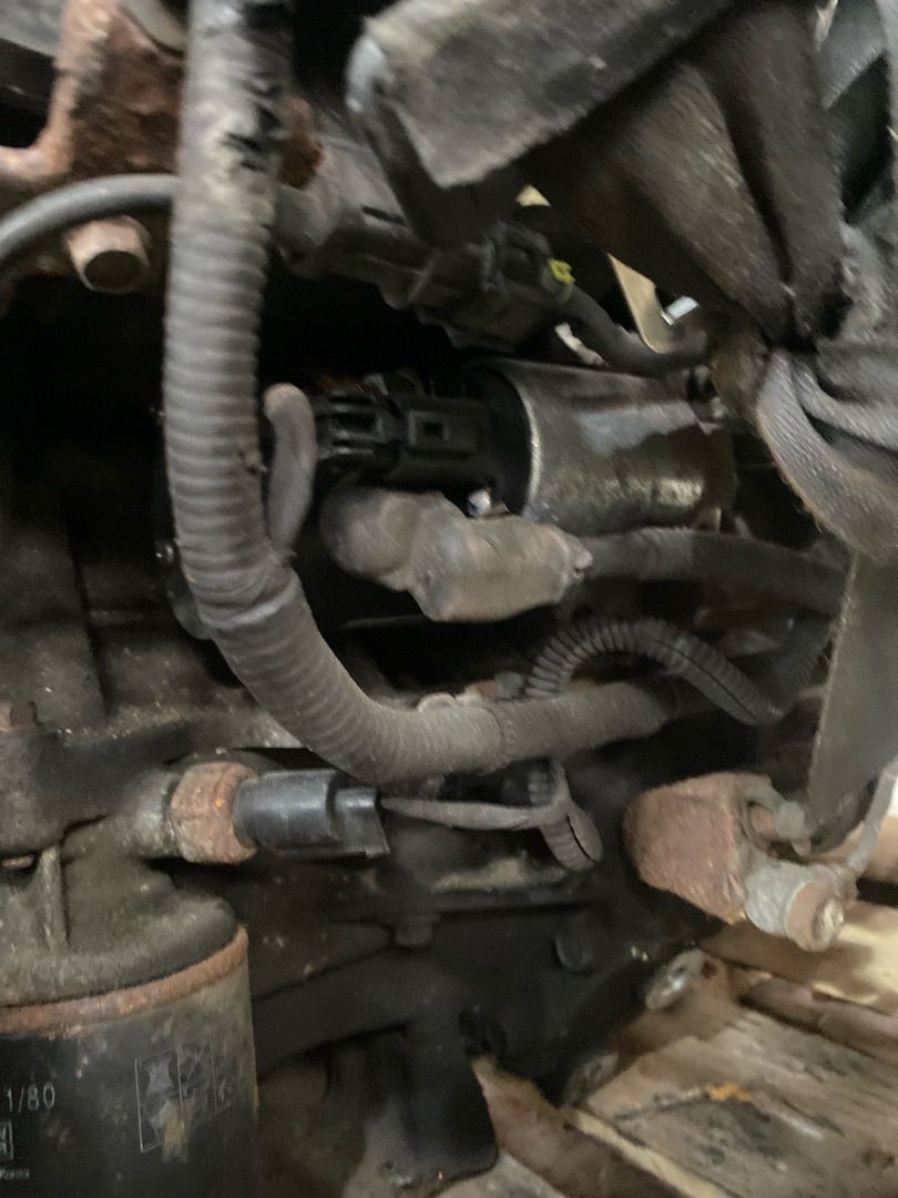 стартер Kia Ceed 1 поколение 2008, 1.6 л., G4FC, бензин, МКПП - фото №1