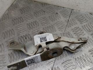 петля капота правая BMW 3 серия E90/E91 [рестайлинг] E90N 2010, 2.0 л., N47 D20 C, дизель, МКПП, седан, 7115264