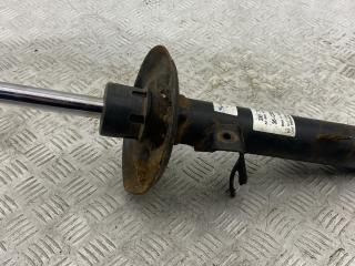 амортизатор передний правый BMW X3 E83 (2003 - 2006), 310718, 824904002417