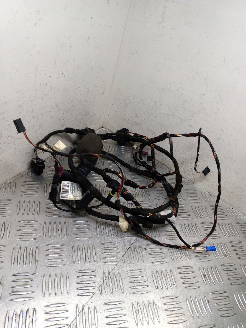 дверная проводка BMW X3 G01 2019, 3.0 л., B58 B30 A, бензин, АКПП, brillanteffekt metallic (a90), внедорожник 5 дв., полный привод, правый руль, 61128793254, 8793254 - фото №1