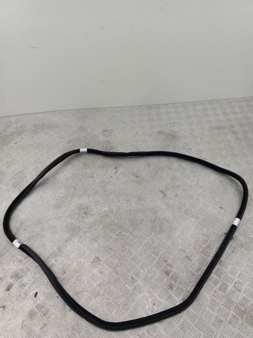 уплотнитель двери BMW 5 серия F07/F10/F11 2011, 3.0 л., N57 D30 A, дизель, АКПП, sophistog brillan metallic (a90), универсал, задний привод, правый руль, 7199775 - фото №1