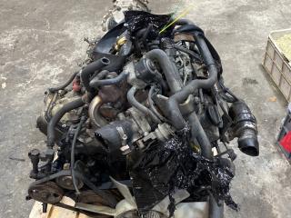 двигатель Nissan Navara D22 [рестайлинг] 2006, 2.5 л., YD25DDTi, дизель, АКПП, YD25DDTI