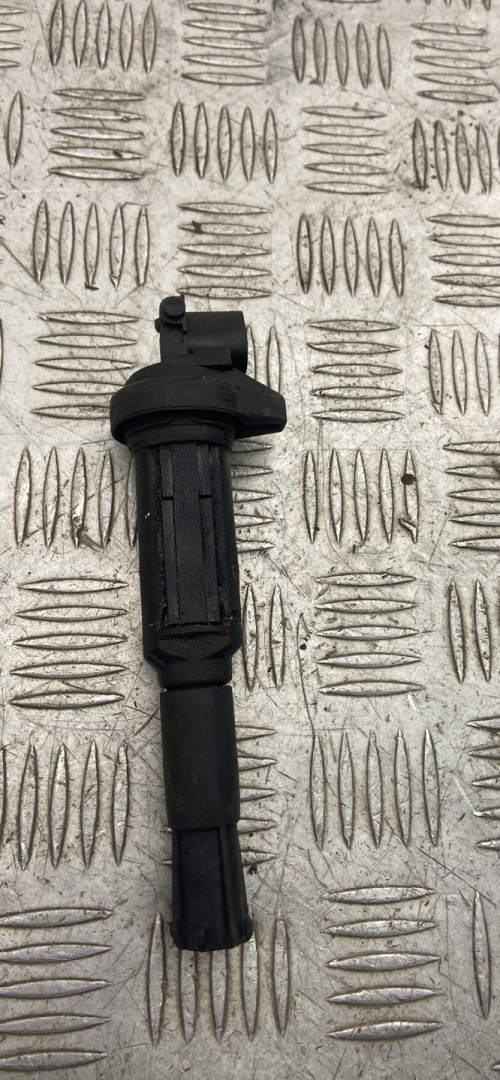 катушка зажигания BMW X5 E53 2003, 3.0 л., M54 B30 (306S3), бензин, 1712223, 12131712223 - фото №1