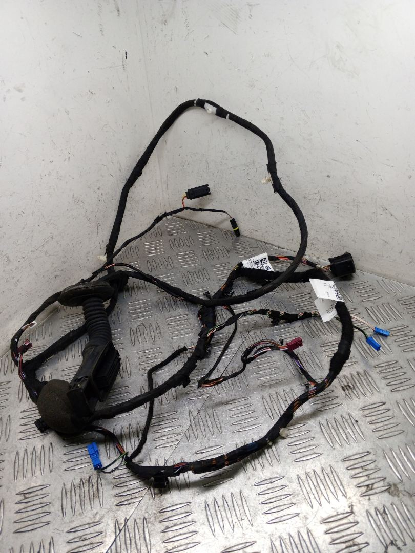 дверная проводка BMW 5 серия G30/G31 G30 2019, 3.0 л., B58 B30 A, бензин, АКПП, bluestone metallic (c2y), седан, полный привод, правый руль, 9370966 - фото №1