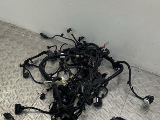 проводка двигателя BMW 5 серия G30/G31 G30 2019, 3.0 л., B58 B30 A, бензин, АКПП, bluestone metallic (c2y), седан, полный привод, правый руль