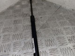 амортизатор капота BMW 3 серия E90/E91 [рестайлинг] E90N 2010, 2.0 л., N47 D20 C, дизель, МКПП, седан, 7129190, 51237129190