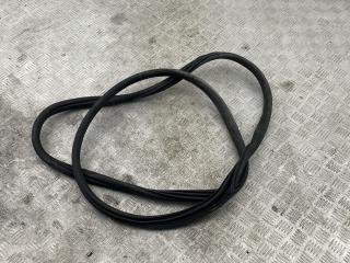 уплотнитель двери BMW X3 G01 2019, 3.0 л., B58 B30 A, бензин, АКПП, brillanteffekt metallic (a90), внедорожник 5 дв., полный привод, правый руль, 7393449