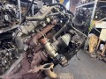 двигатель IVECO Daily 4 поколение 2010, 3.0 л., F1CE0481FA, дизель, F1CE0481F - фото №2
