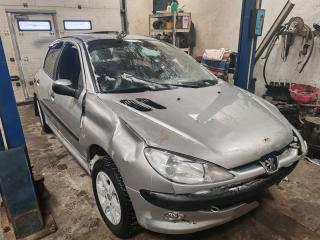 Peugeot 206 1 поколение [рестайлинг] 2A