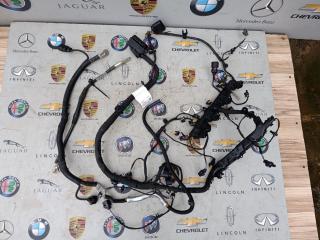 проводка двигателя Porsche Macan 1 поколение [2-й рестайлинг] 2023, 2.0 л., бензин, АКПП, 06N971595R