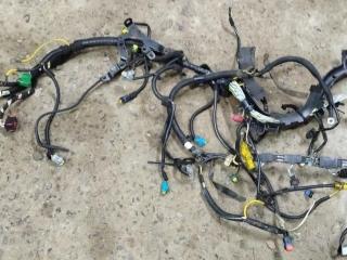 проводка двигателя Peugeot 307 1 поколение 2004, 9650549780