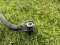 проводка Ford Escape 4 поколение CX482 2021, 1.5 л., бензин, АКПП, внедорожник 5 дв., передний привод - фото №5