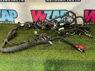 проводка двигателя Ford Mustang 6 поколение S550 [рестайлинг] 2020, 2.3 л., бензин, АКПП, белый, купе, задний привод, LR3T14B060BC