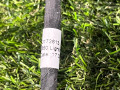 проводка Land Rover Range Rover Velar 1 поколение (2017 - 2026), 90172613 - фото №2