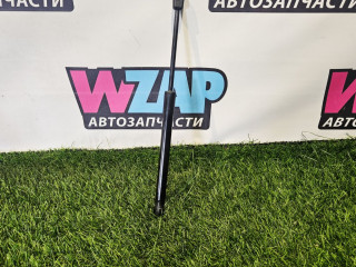 амортизатор капота Tesla Model 3 1 поколение 2022, 1091472-00-B