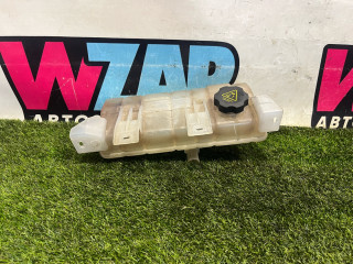 бачок расширительный Tesla Model X 1 поколение 2017, электро, белый, 6007612-00-A