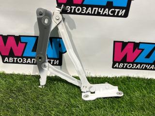 петля крышки багажника Ford Mustang 6 поколение S550 [рестайлинг] 2019, 2.3 л., бензин, АКПП, кабриолет, задний привод, FR3B6342701AD