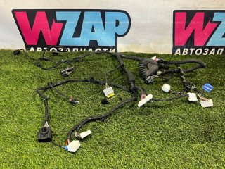 дверная проводка Tesla Model X 1 поколение [рестайлинг] 2023, электро, 1552570-00-C