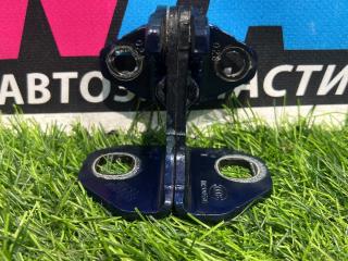 петля двери Tesla Model X 1 поколение [рестайлинг] 2022, электро, синий, полный привод, 553800H