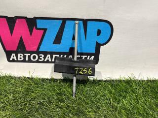 крепление запаски Ford Mustang 6 поколение S550 [рестайлинг] 2018, 2.3 л., бензин, АКПП, кабриолет, задний привод