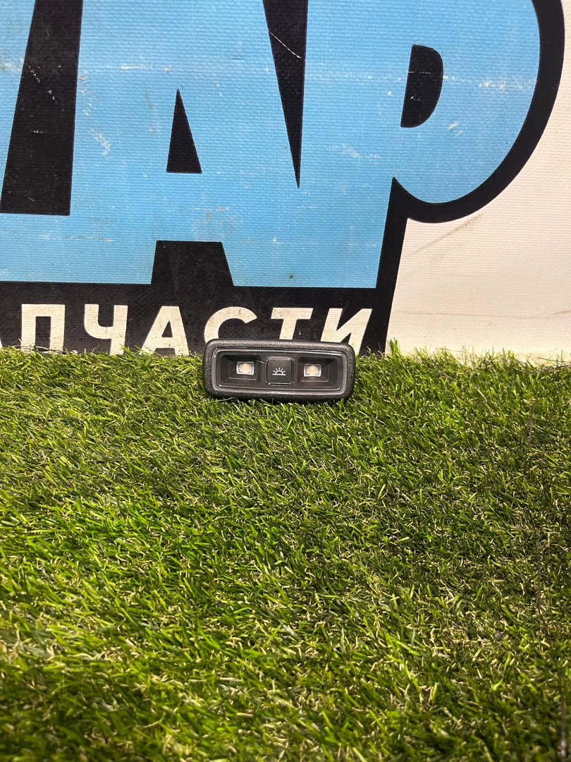 фонарь салона (плафон) Ford Explorer 6 поколение U625 2020, 2.3 л., бензин, АКПП, внедорожник 5 дв., полный привод, LB5A-13K767-AD3ZHE - фото №1