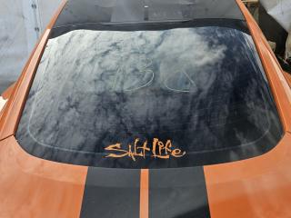 стекло заднее Ford Mustang 6 поколение S550 [рестайлинг] 2021, 2.3 л., бензин, АКПП, оранжевый, купе, задний привод