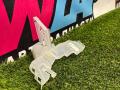 кронштейн (крепление) Ford Mustang 7 поколение S650 2024, 2.3 л., бензин, АКПП, черный, купе, задний привод, PR3B-C219A64-AG - фото №3