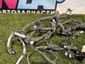 проводка двигателя Ford Explorer 6 поколение U625 2021, 2.3 л., бензин, АКПП, внедорожник 5 дв., задний привод, KU5T12C508AKC - фото №7
