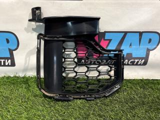 заглушка (решетка) в бампер BMW X5 G05 (2018 - 2026), 8069210