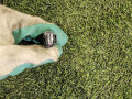 проводка Mini Countryman 2 поколение [рестайлинг] F60 2021, 2.0 л., бензин, АКПП, внедорожник 5 дв., полный привод, правый руль, 185606-11 - фото №5