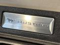 накладка на торпедо (консоль) Ford Mustang 6 поколение S550 [рестайлинг] 2021, 2.3 л., бензин, АКПП, оранжевый, купе, задний привод, FR3B-63044B88 - фото №4
