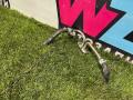 масляная трубка турбины Chevrolet TrailBlazer 3 поколение 2022, 1.3 л., бензин, вариатор, оранжевый, хетчбэк 5 дв., полный привод, 12703850 - фото №6