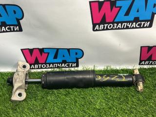 амортизатор задний Ford Mustang 6 поколение S550 [рестайлинг] 2018, 2.3 л., бензин, АКПП, кабриолет, задний привод, FR3C-18W002