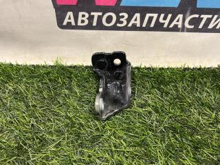 петля двери Ford Edge 2 поколение CD539 [рестайлинг] 2022, 2.0 л., бензин, АКПП, внедорожник 5 дв., полный привод