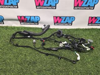 дверная проводка Ford Explorer 6 поколение U625 2023, 2.3 л., бензин, АКПП, внедорожник 5 дв., полный привод, P1MT-14631-BSD