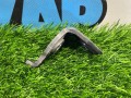 петля двери Ford Mustang 6 поколение S550 [рестайлинг] 2018, 2.3 л., бензин, АКПП, кабриолет, задний привод - фото №5