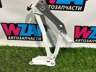 петля крышки багажника Ford Mustang 6 поколение S550 [рестайлинг] 2019, 2.3 л., бензин, АКПП, кабриолет, задний привод, FR3B6342700AD