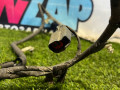 проводка Ford Escape 4 поколение CX482 2021, 1.5 л., бензин, АКПП, внедорожник 5 дв., передний привод - фото №2