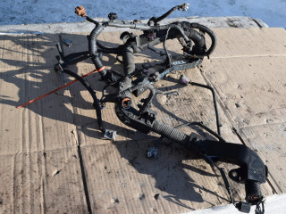 проводка двигателя Toyota Yaris XP9 2008, 1.4 л., D-4D, 1ND-TV, дизель, МКПП