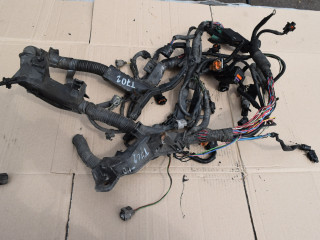 проводка двигателя Toyota Yaris XP9 [рестайлинг] 2009, 1.4 л., D-4D, 1ND-TV, дизель, МКПП, хетчбэк 5 дв.