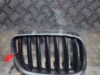 решетка радиатора BMW X5 E53 2003, 4.4 л., бензин