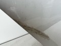 дверь задняя правая Volkswagen Touran 2 поколение 2016, 1.4 л., CZDA, бензин, АКПП, минивэн, 5TA833056 - фото №10
