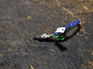 лямбда-зонд Peugeot 206 1 поколение [рестайлинг] 2004, 1.4 л., бензин, 0258006028