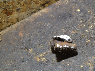 кронштейн генератора Renault Master 2 поколение 2000, 2.8 л., дизель